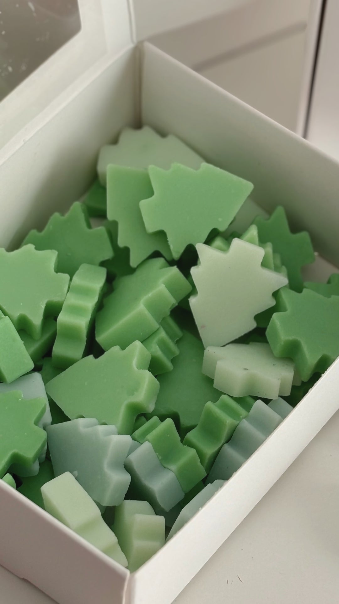 Wax Melts Under The Tree