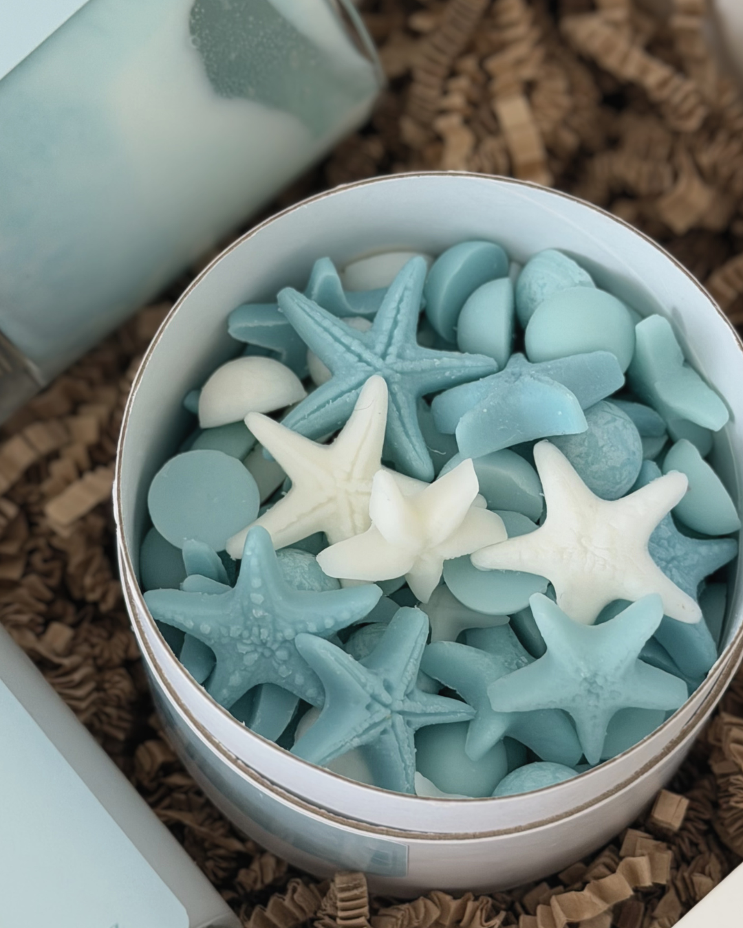 Wax Melt · Salt Water
