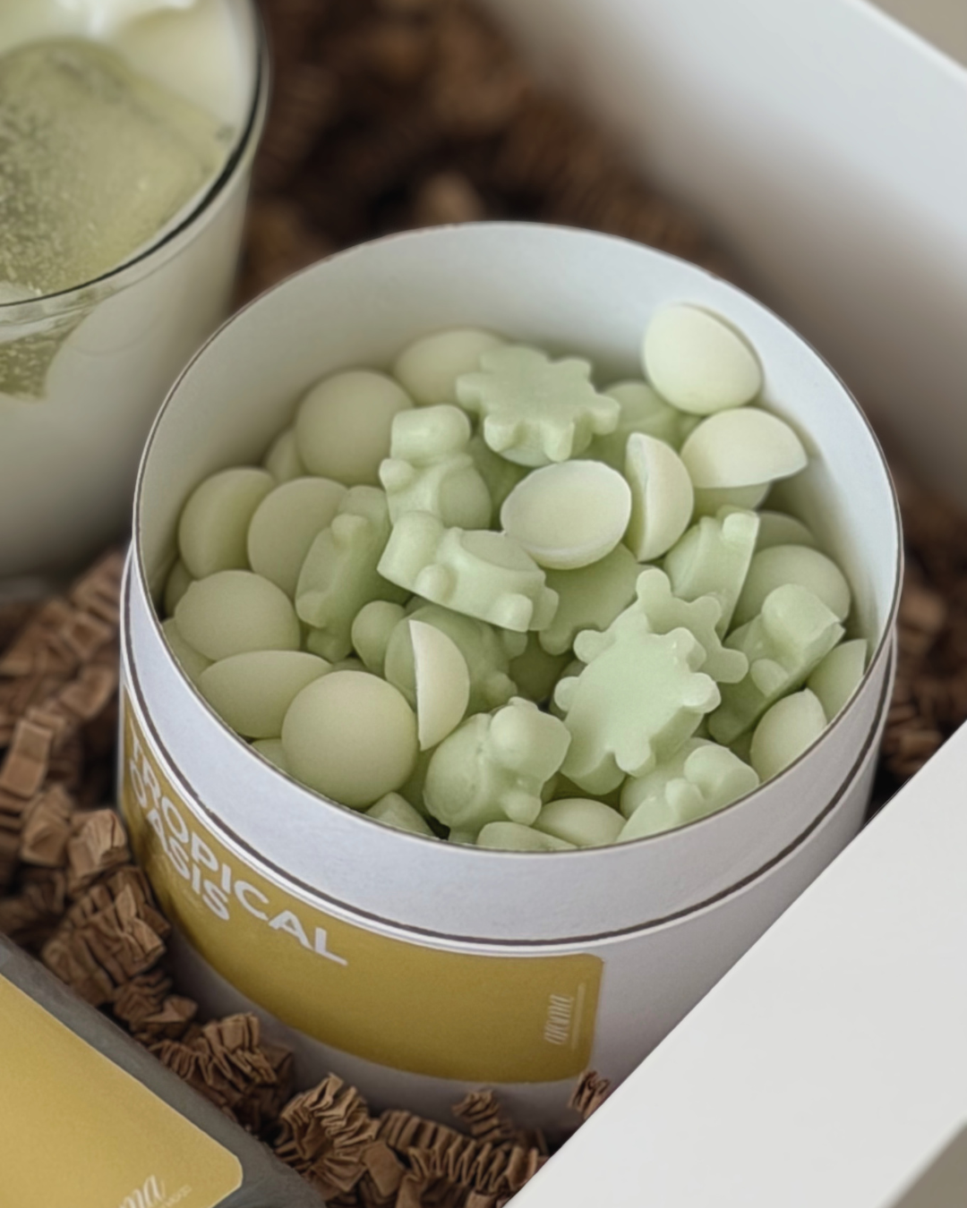 Wax Melt · Tropical Oasis
