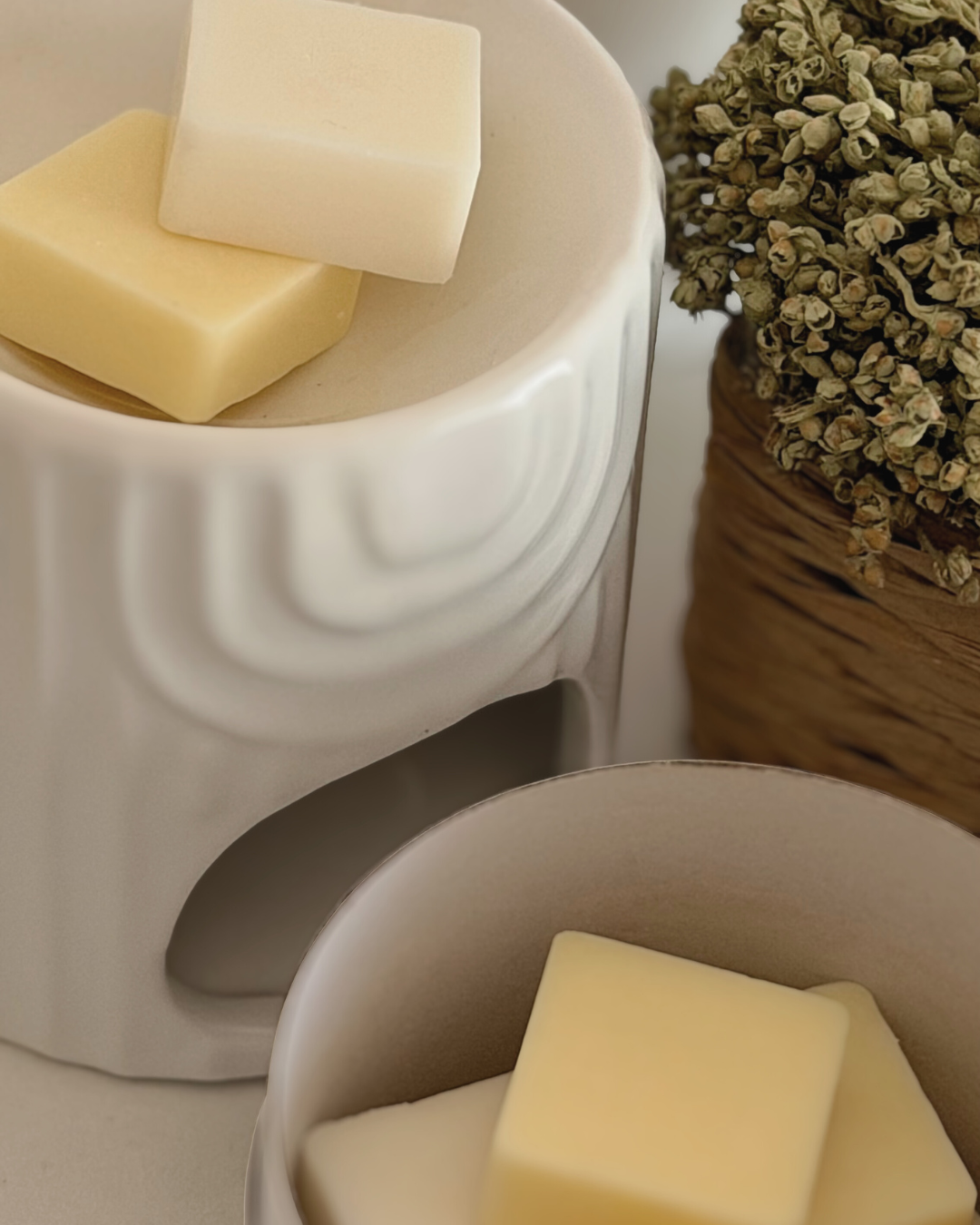 Queimadores de Cerâmica