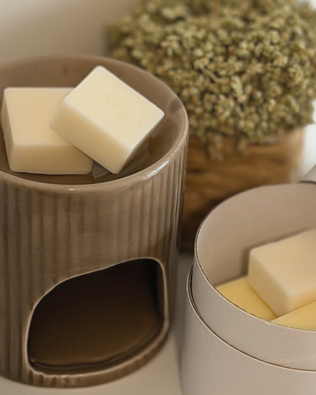 Queimadores de Cerâmica